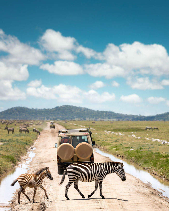 Wildebeest crossing in Serengeti