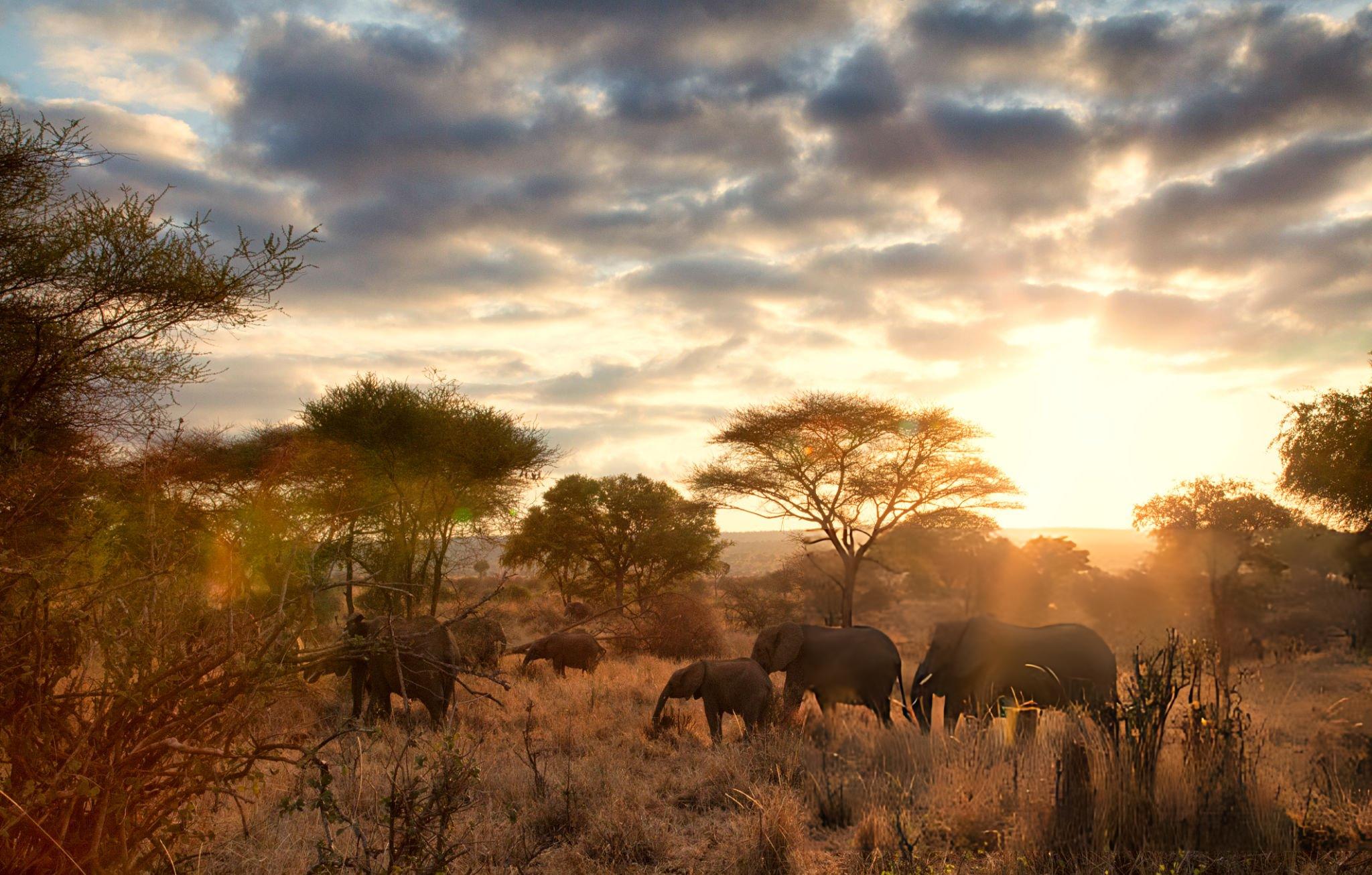 7-day Tanzania safari